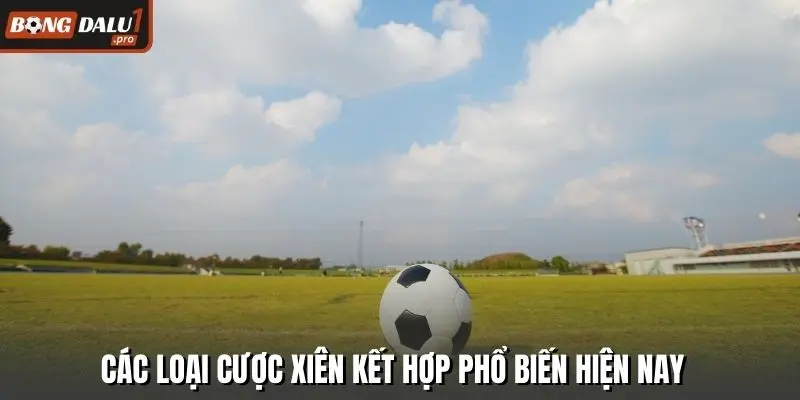 Các loại cược xiên kết hợp phổ biến hiện nay