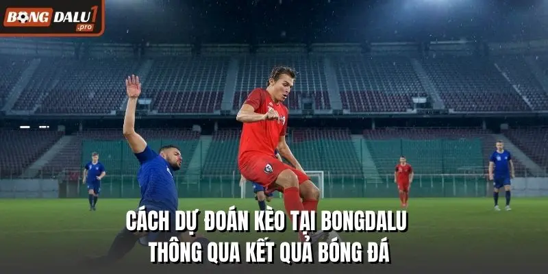 Cách dự đoán kèo tại Bongdalu thông qua kết quả bóng đá
